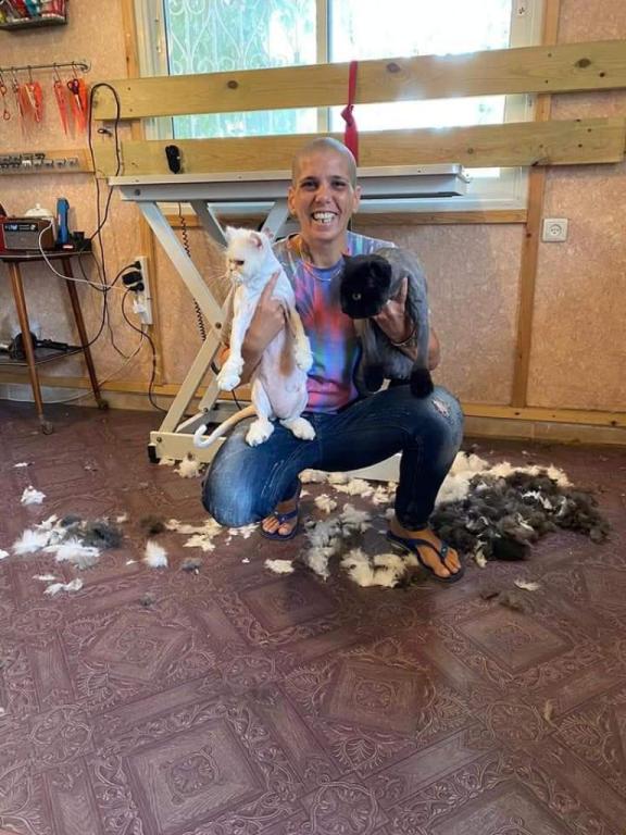 לורי מספרת כלבים וחתולים לורי מספרת כלבים וחתולים