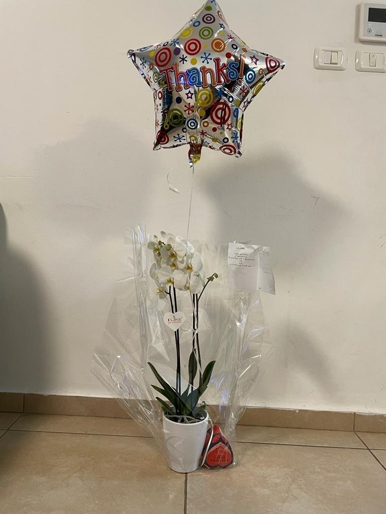 אורטק שירותי מיחשוב וגיבוי ענן אורטק שירותי מיחשוב וגיבוי ענן