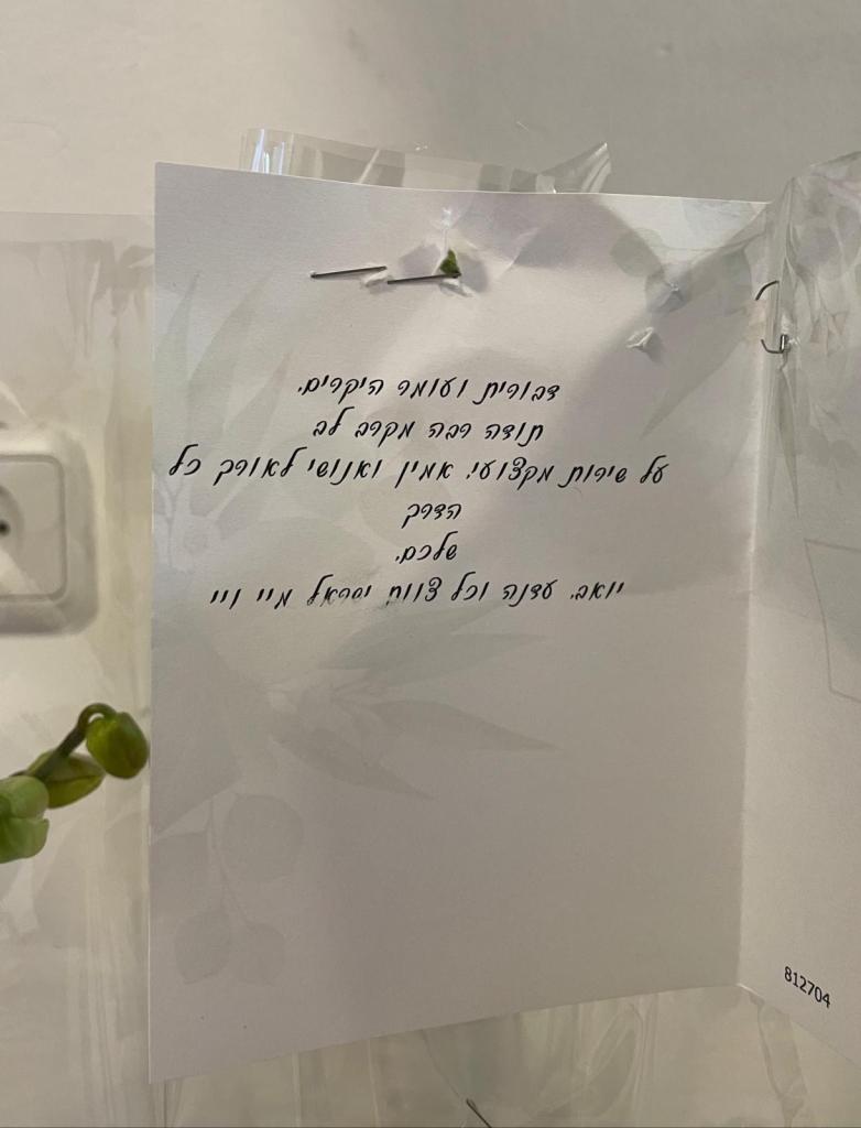 אורטק שירותי מיחשוב וגיבוי ענן אורטק שירותי מיחשוב וגיבוי ענן