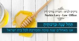 לביא נרקיס משרד עורכי דין