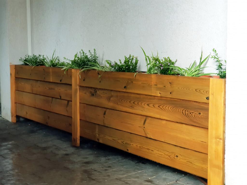 בלוסום גנים בלוסום גנים