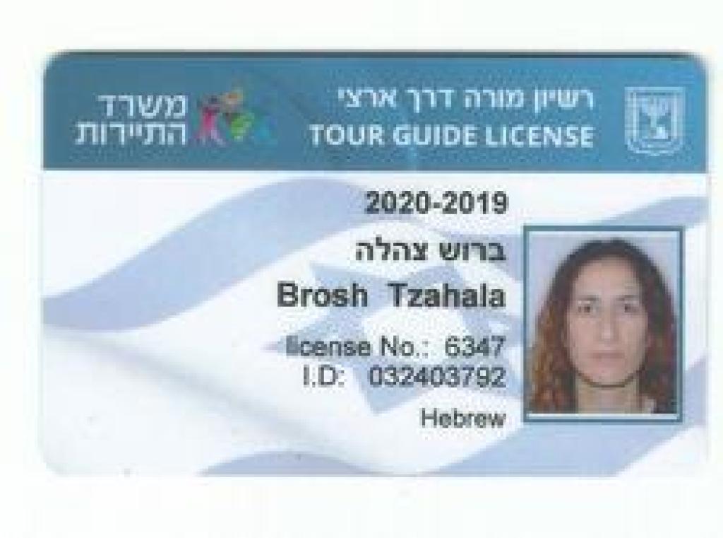 צהלה ברוש סודות זכרון צהלה ברוש סודות זכרון