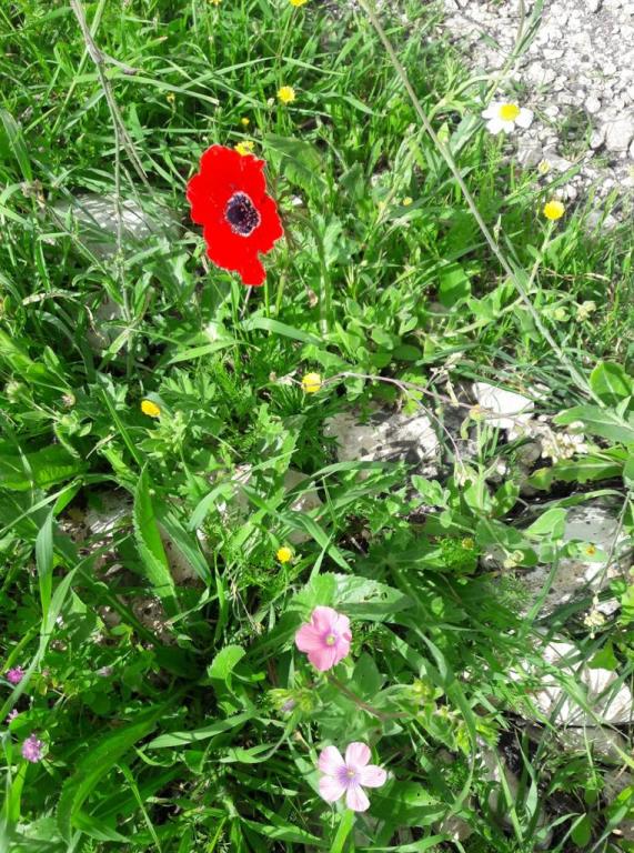 לבריאות קליניק לבריאות קליניק