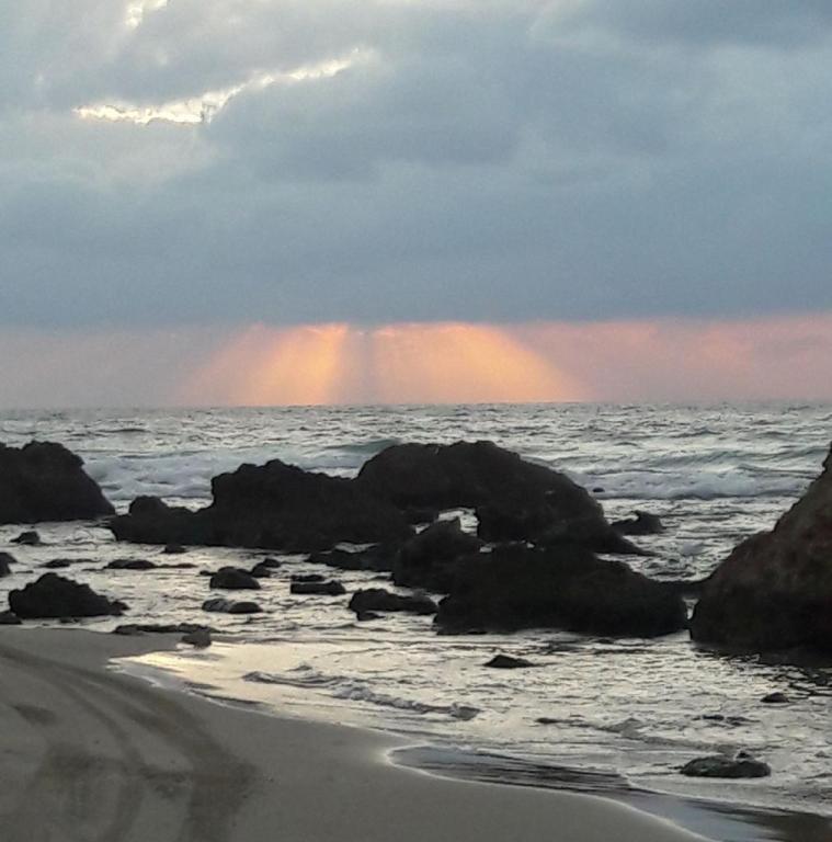 לבריאות קליניק לבריאות קליניק