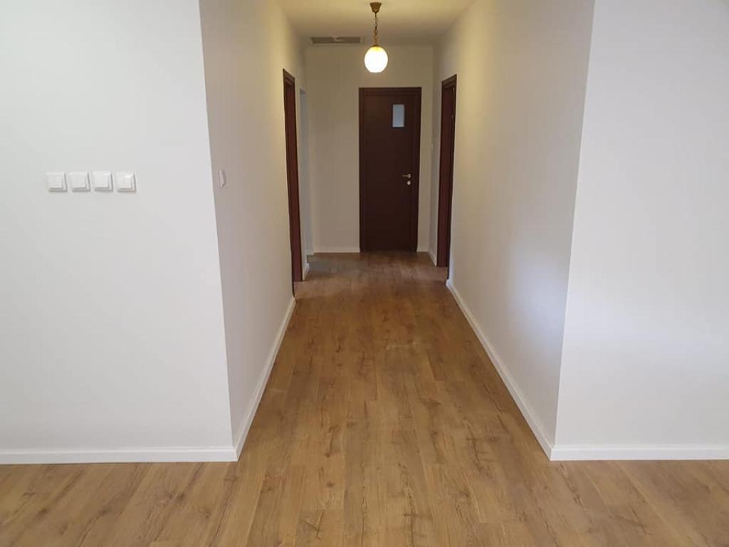 צחי פרקטים צחי פרקטים