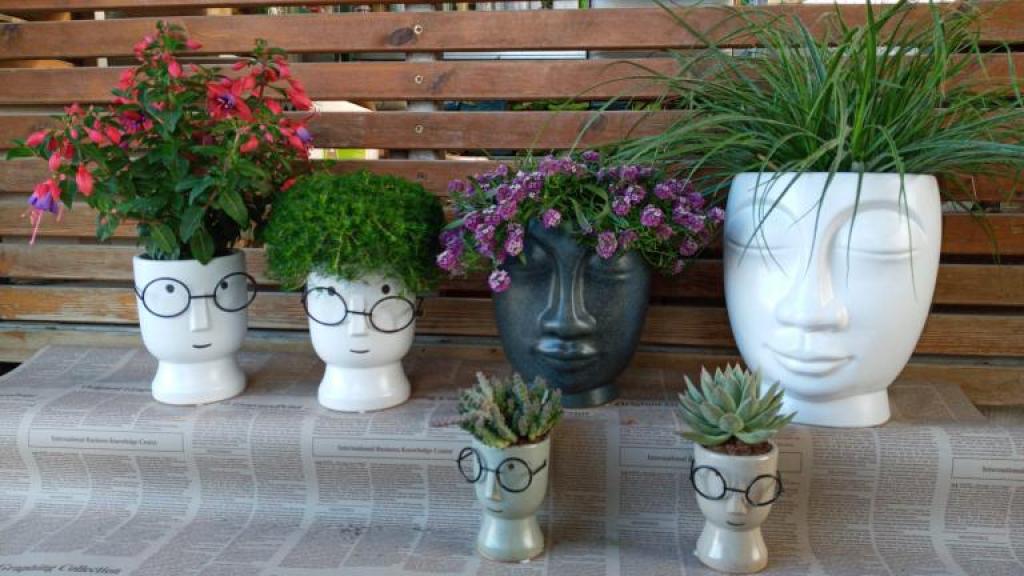 משתלות אטון משק 66 משתלות אטון משק 66