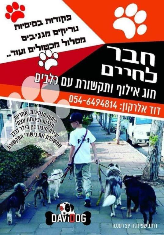 מועדון קהילתי שפינוזה מועדון קהילתי שפינוזה