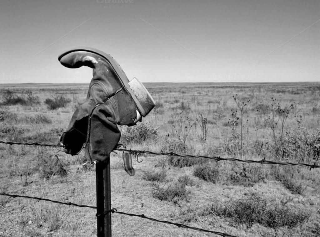 צרי גלעד רפואה סינית צרי גלעד רפואה סינית