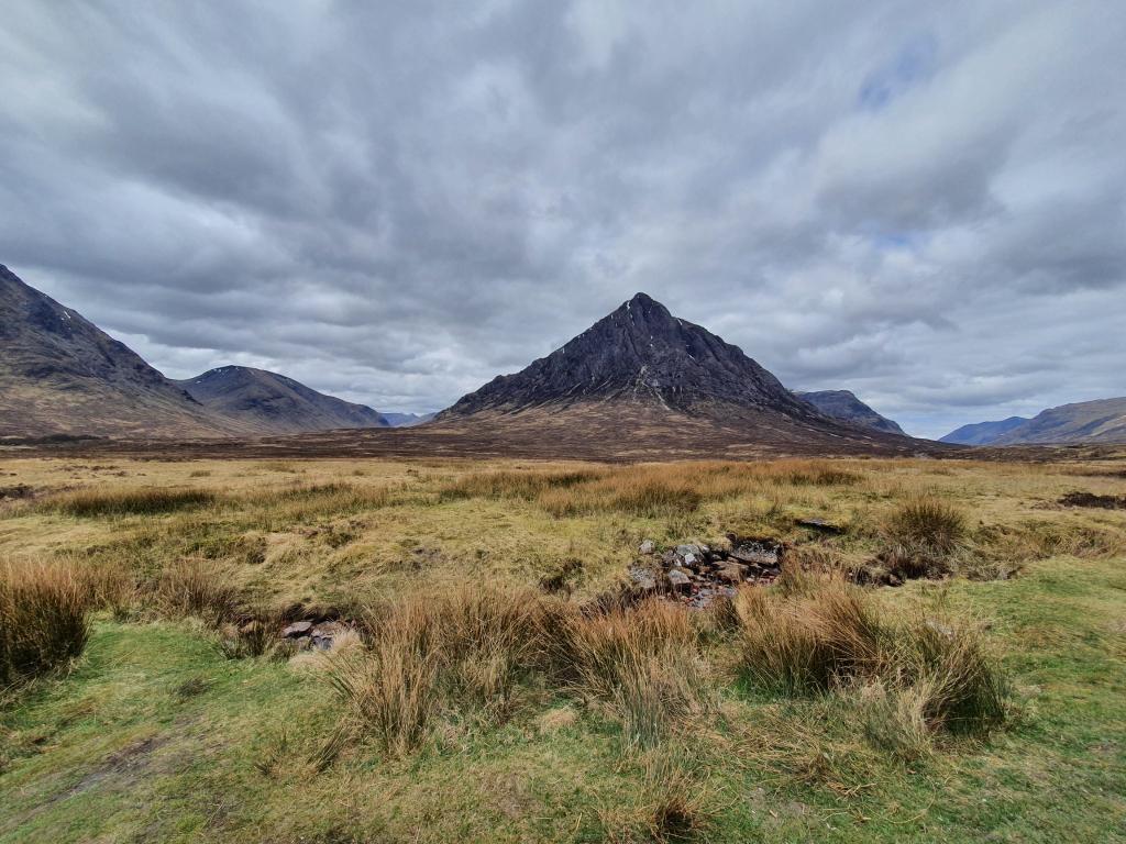 איילת המטיילת איילת המטיילת