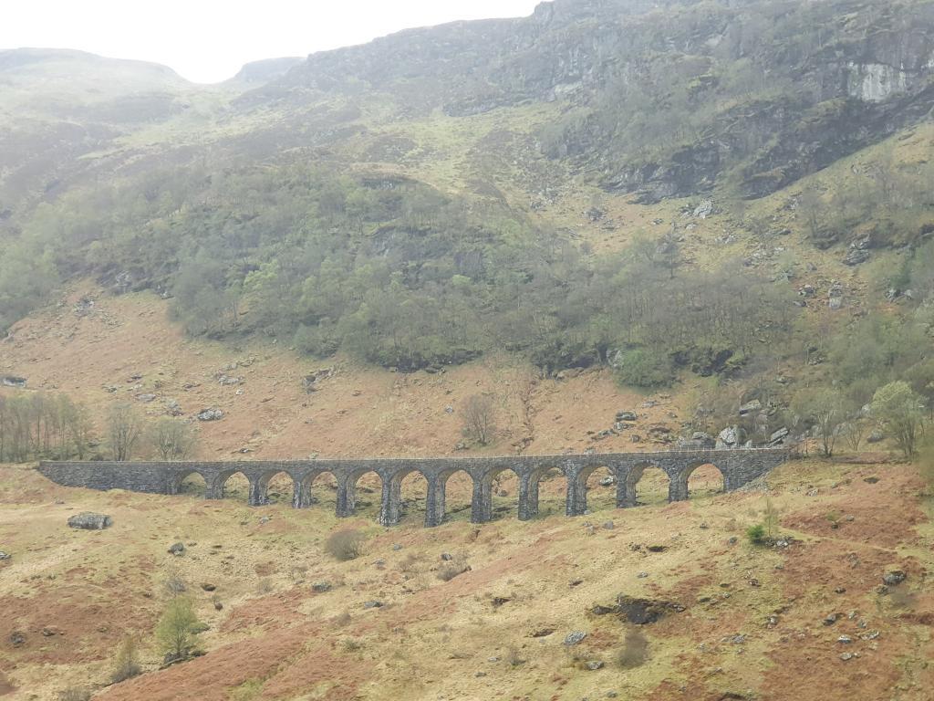 איילת המטיילת איילת המטיילת