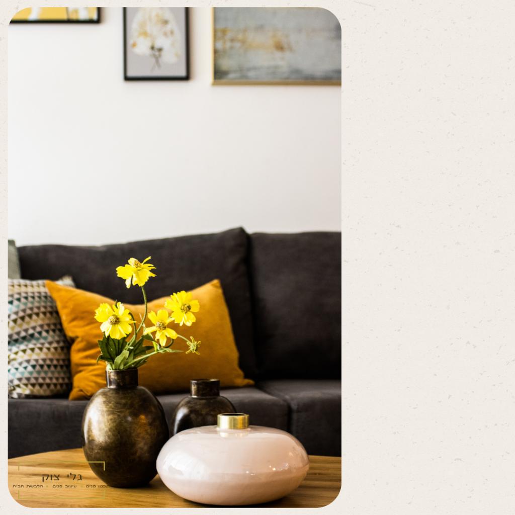 גלי צוק גלי צוק