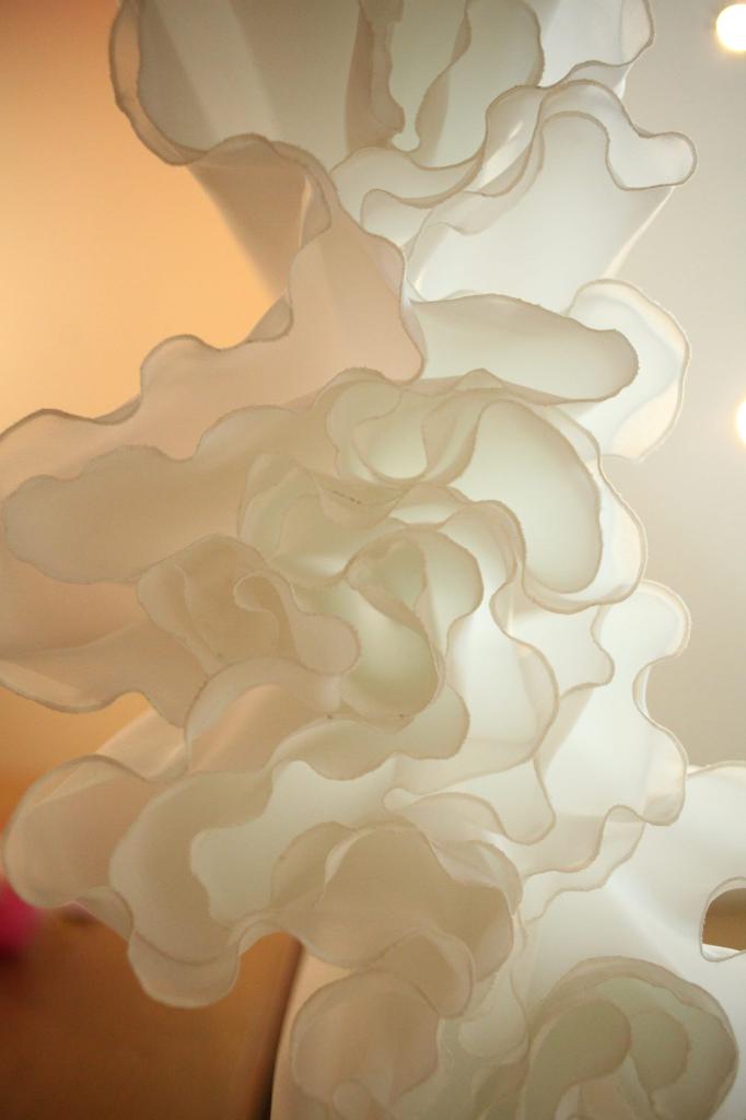 שרי בן דב שרי בן דב