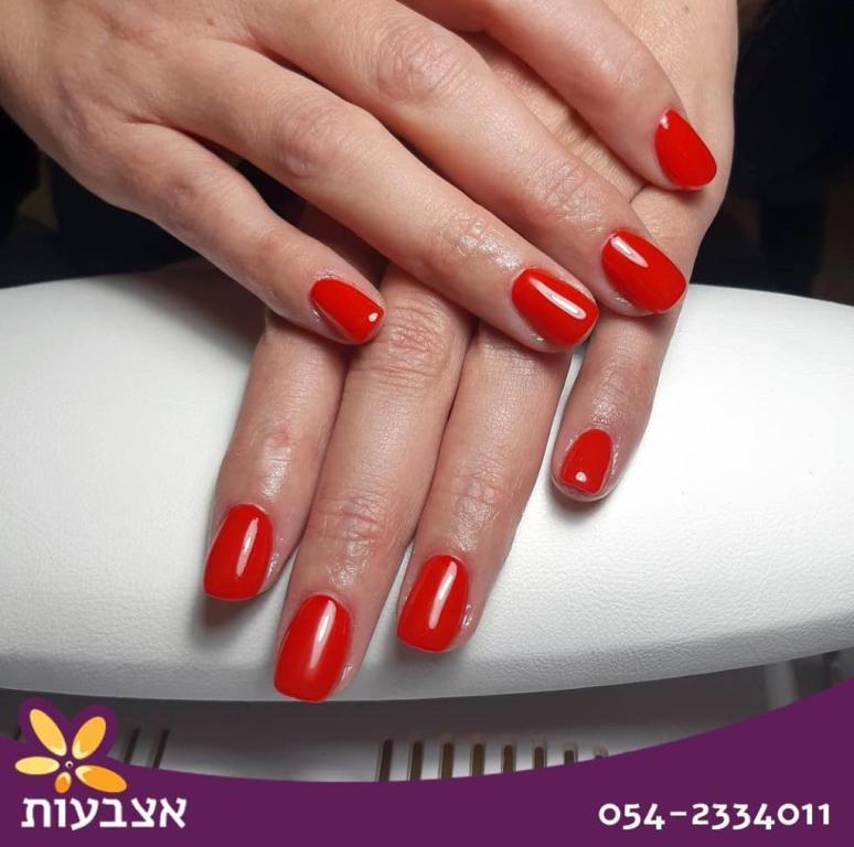 אצבעות רגינה מאור אצבעות רגינה מאור