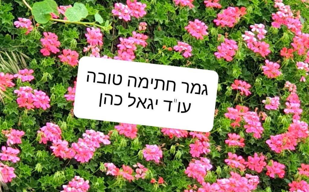 עו"ד יגאל כהן עו"ד יגאל כהן