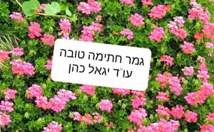 עו"ד יגאל כהן