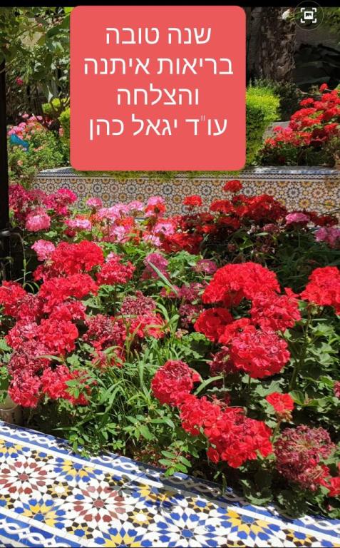 עו"ד יגאל כהן עו"ד יגאל כהן