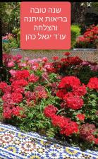 עו"ד יגאל כהן