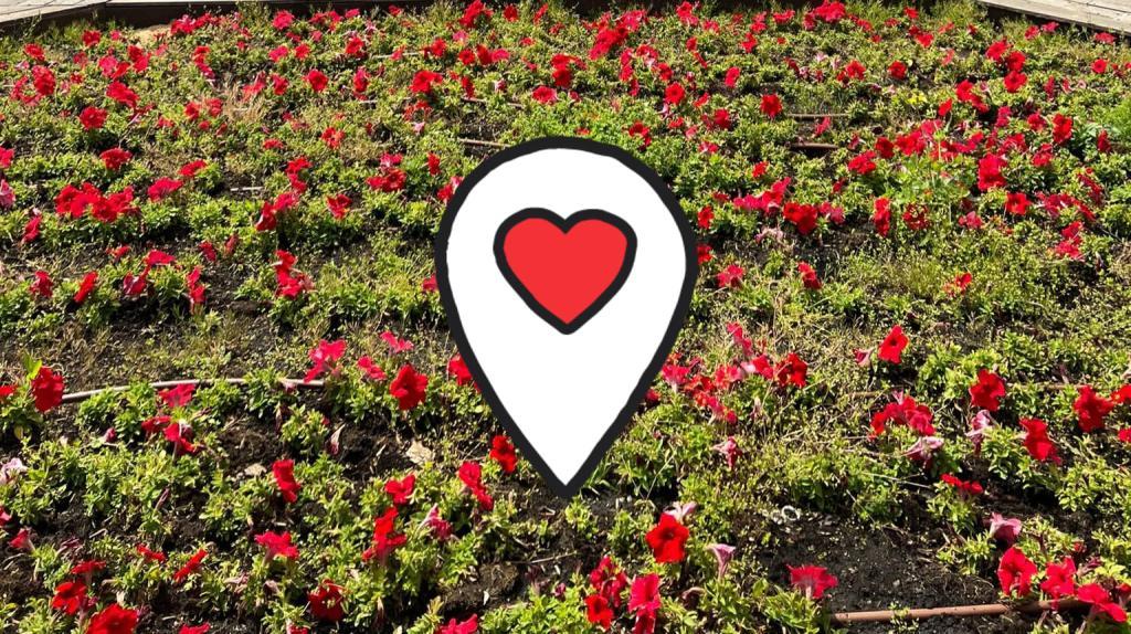 שרית שיינבלום שרית שיינבלום