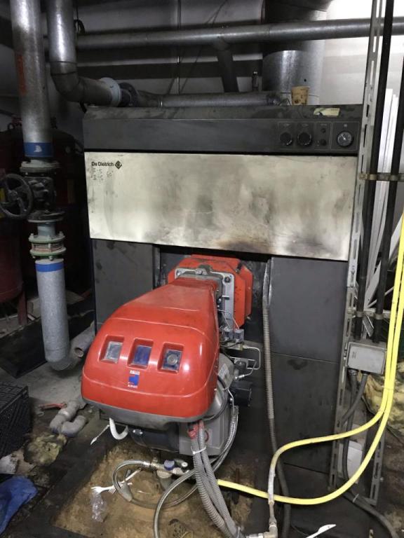 אורן ידי זהב אורן ידי זהב