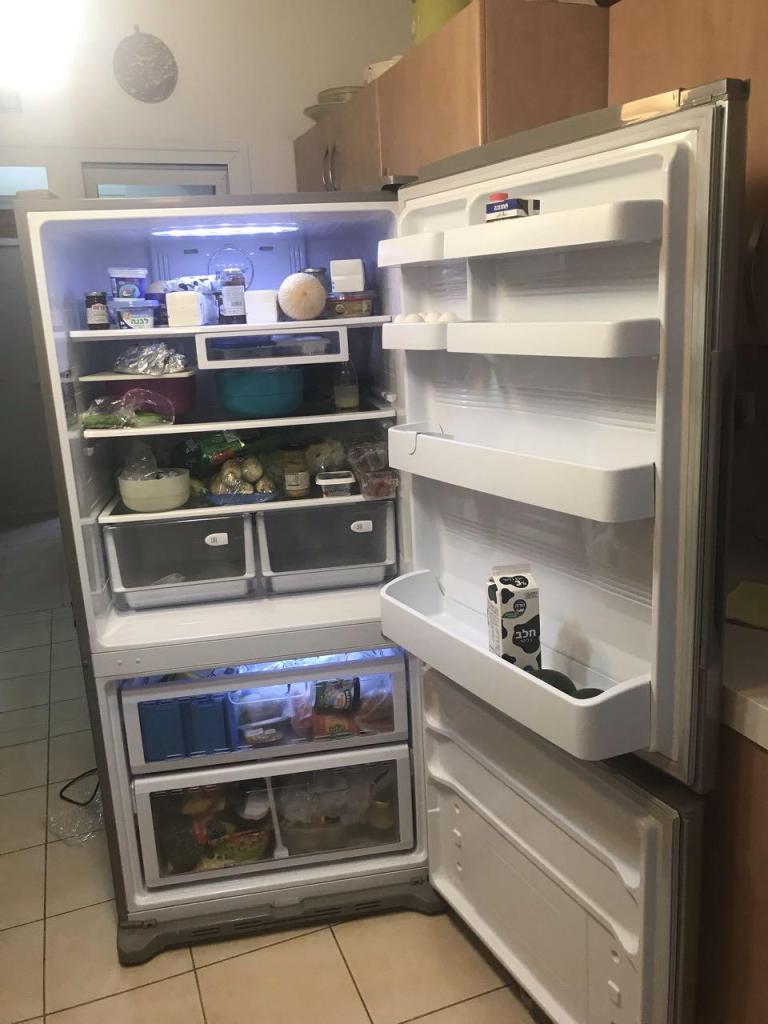 אורן ידי זהב אורן ידי זהב