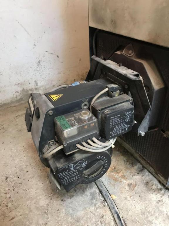 אורן ידי זהב אורן ידי זהב