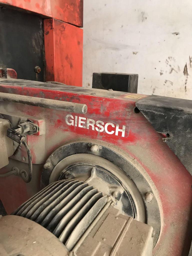 אורן ידי זהב אורן ידי זהב