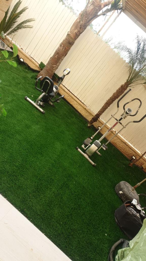 דורית דבש דורית דבש