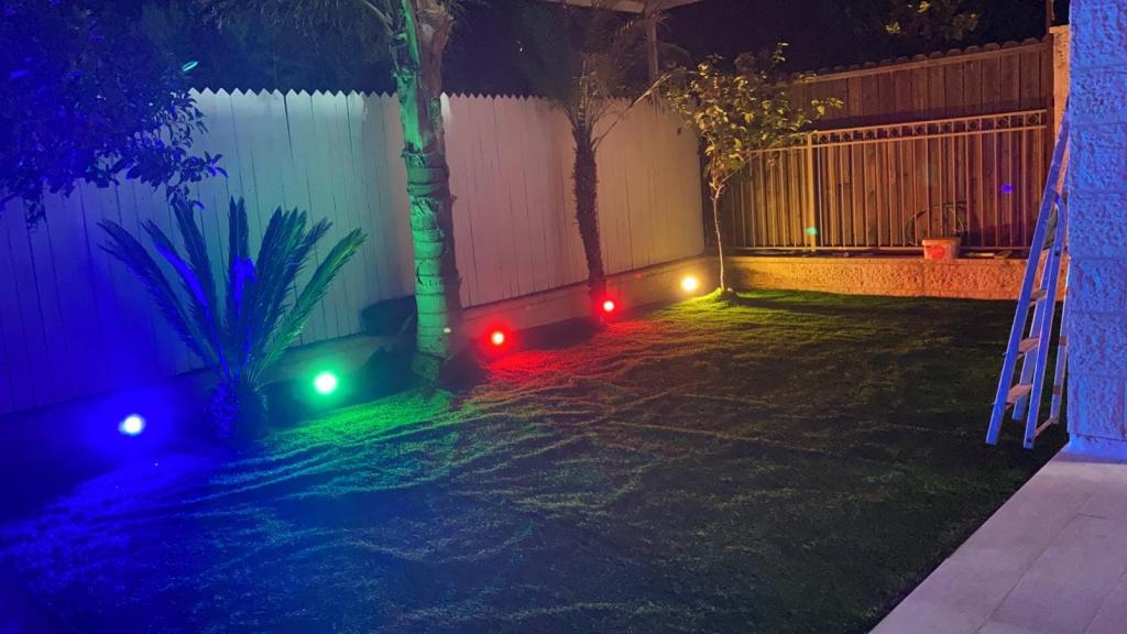 דורית דבש דורית דבש