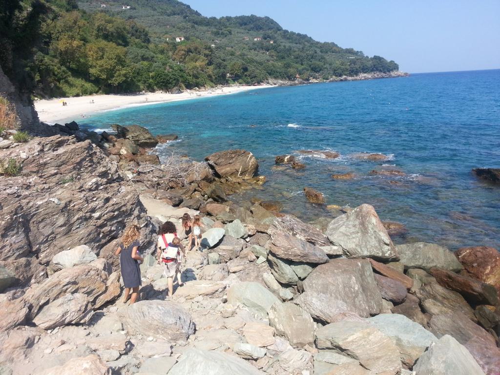 חנן צ'יט מטפל ברפואה סינית חנן צ'יט מטפל ברפואה סינית