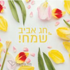 אולגה מרגוליס סטודיו