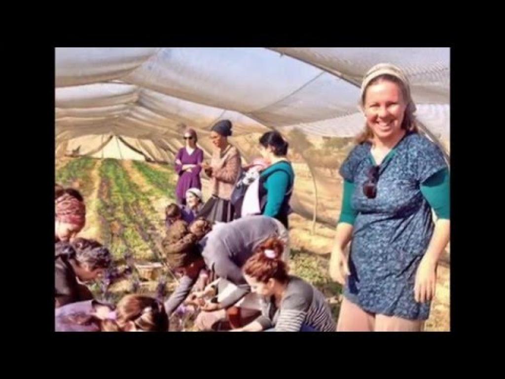 חוות מתנת מדבר חוות מתנת מדבר