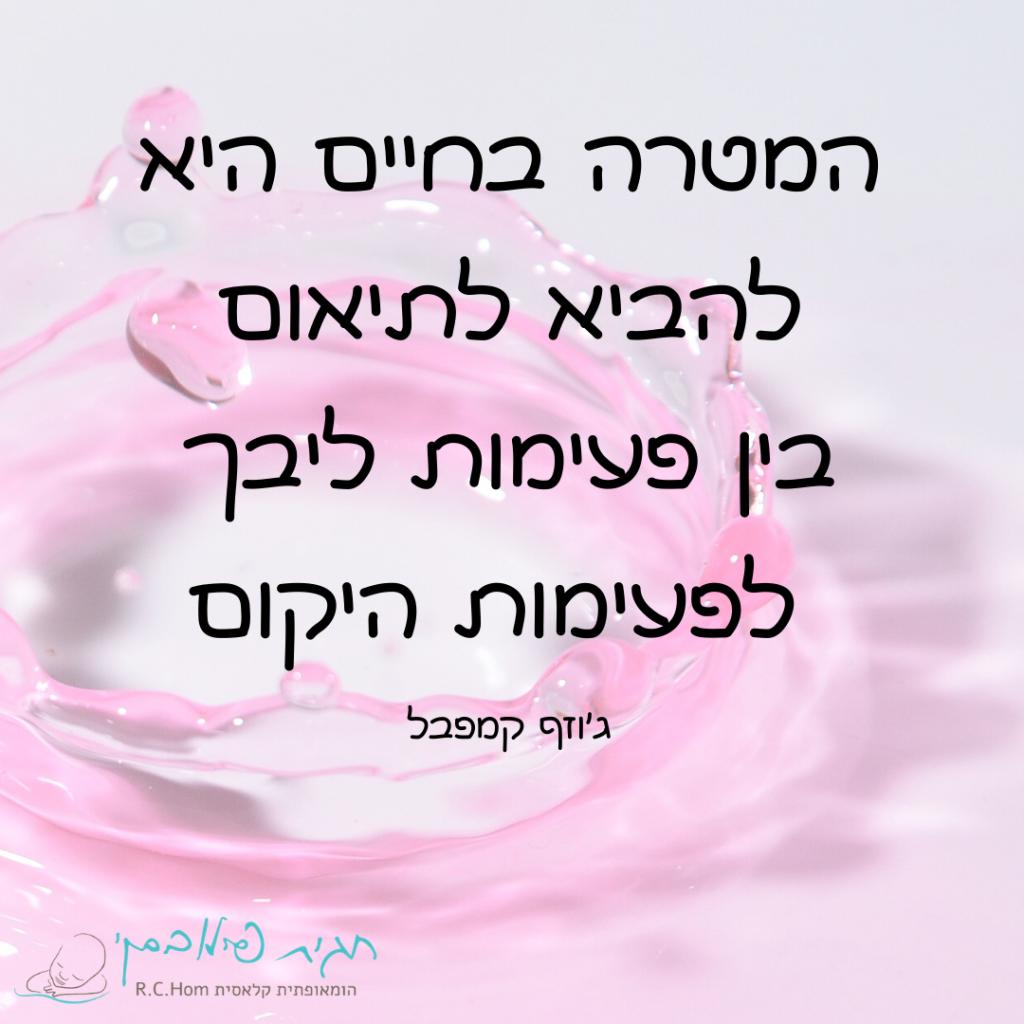 חגית פילובסקי חגית פילובסקי