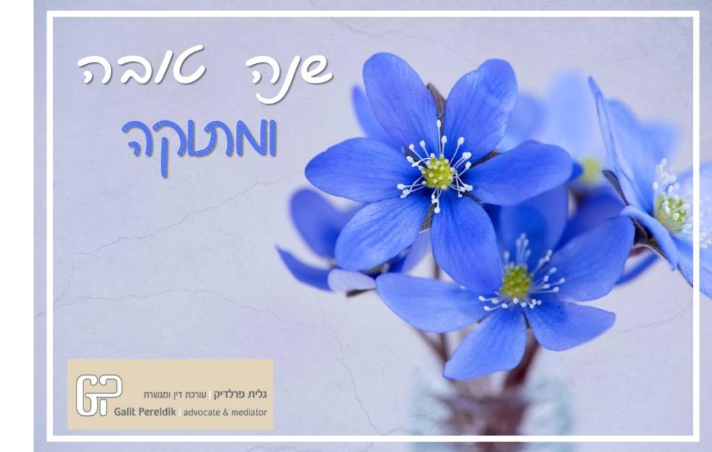 גלית פרלדיק עריכת דין וגישור גלית פרלדיק עריכת דין וגישור