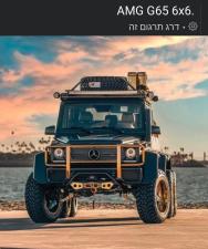 נהגים