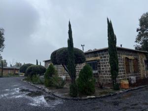 Assaf Winery