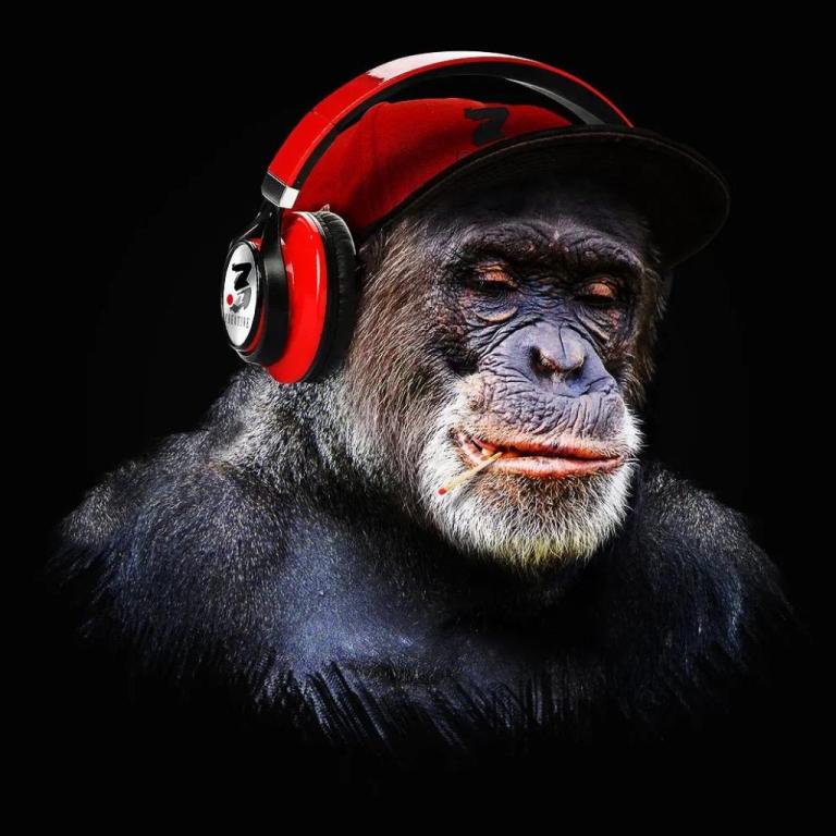 צליל הקלטות צליל הקלטות