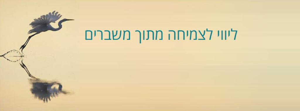 חנן חיים סרן חנן חיים סרן