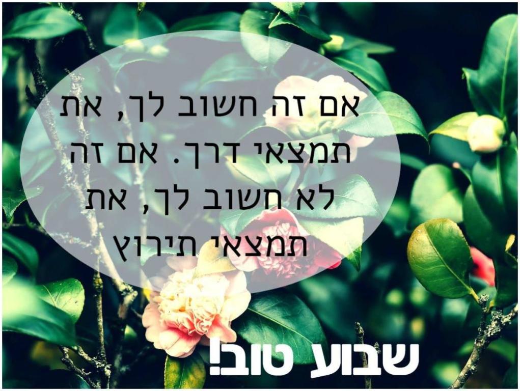 עו"ד הדר פלד טל עו"ד הדר פלד טל