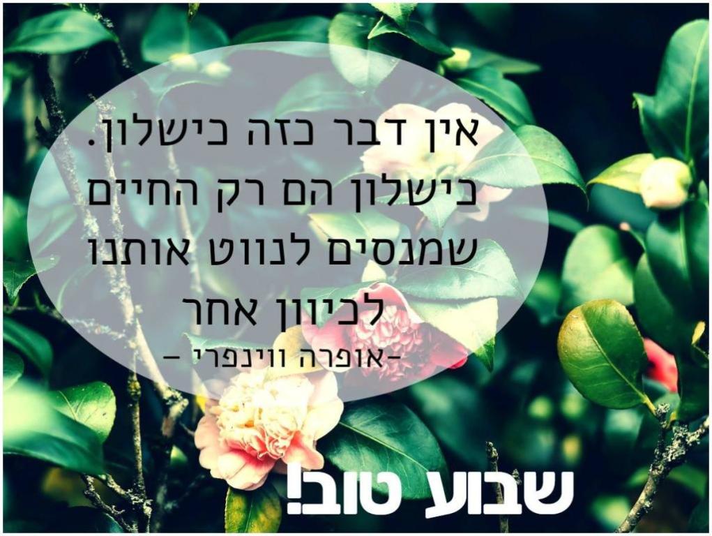 עו"ד הדר פלד טל עו"ד הדר פלד טל