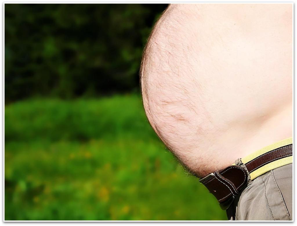 עו"ד הדר פלד טל עו"ד הדר פלד טל