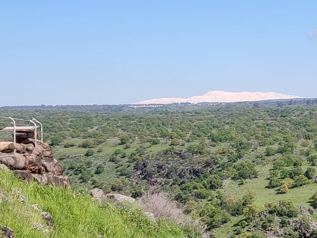 בריכת המשושים בריכת המשושים