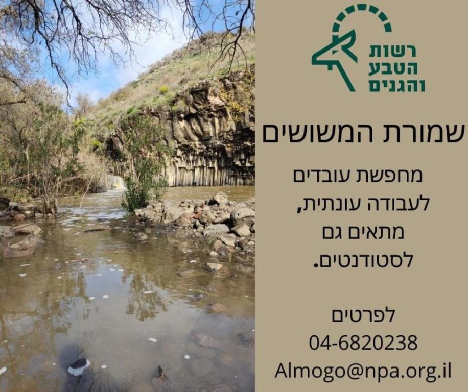 בריכת המשושים בריכת המשושים