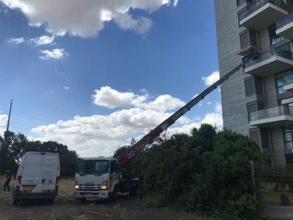 Cargo MS הובלות Cargo MS הובלות