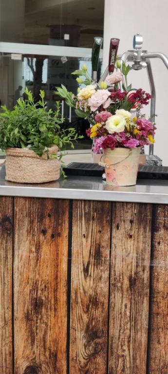 השביל הלבן עיצובים השביל הלבן עיצובים