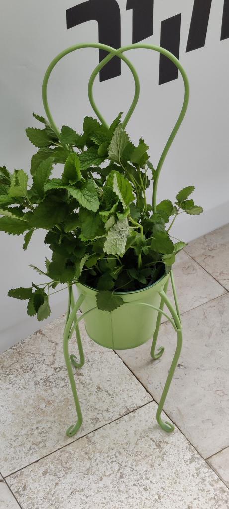 השביל הלבן עיצובים השביל הלבן עיצובים