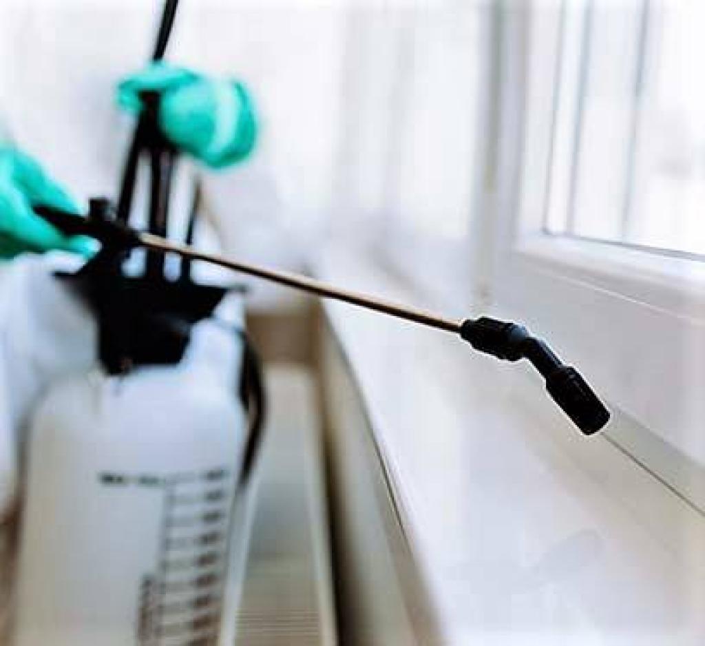 האוס דוקטור האוס דוקטור