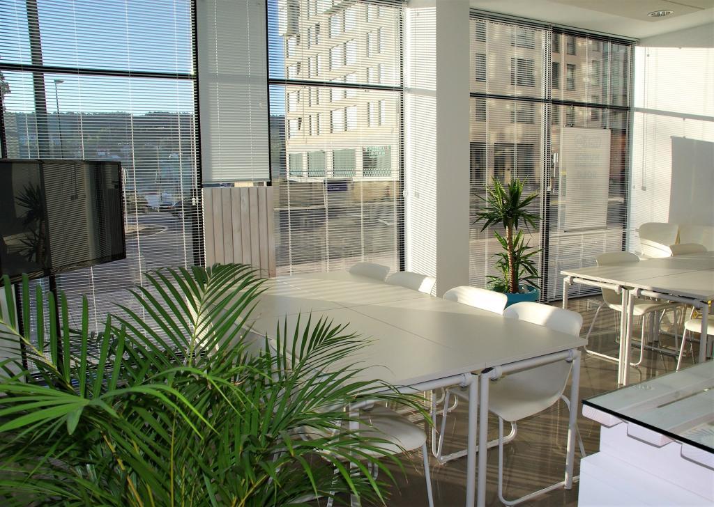 האוס דוקטור האוס דוקטור