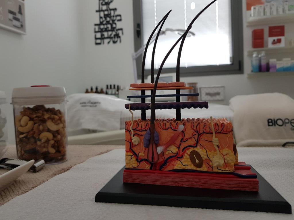 לימור בראשי לימור בראשי