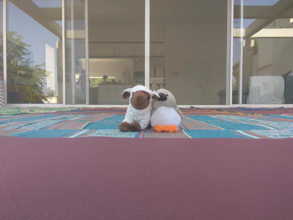 Amit Pilates עמית פילאטיס Amit Pilates עמית פילאטיס