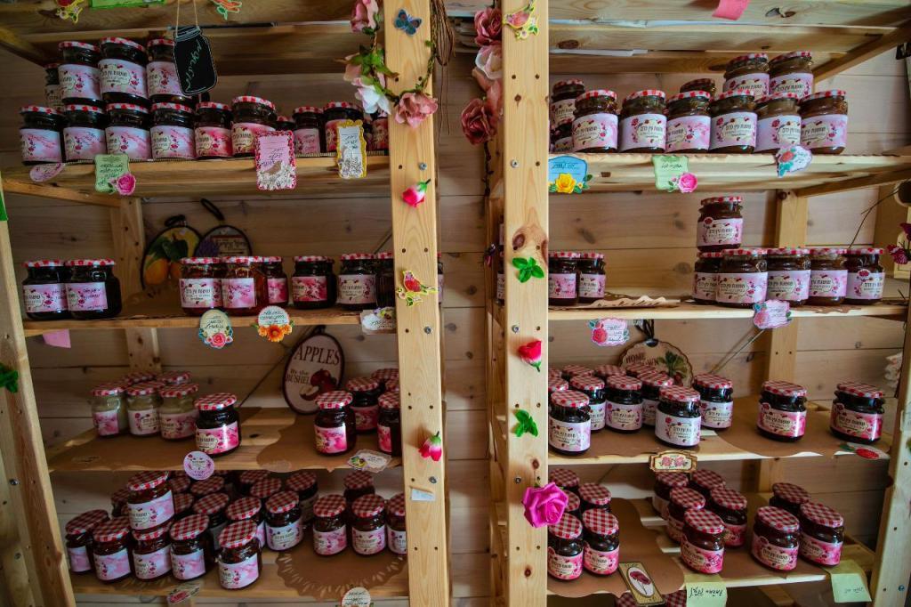 הבית העתיק בעין כרם הבית העתיק בעין כרם